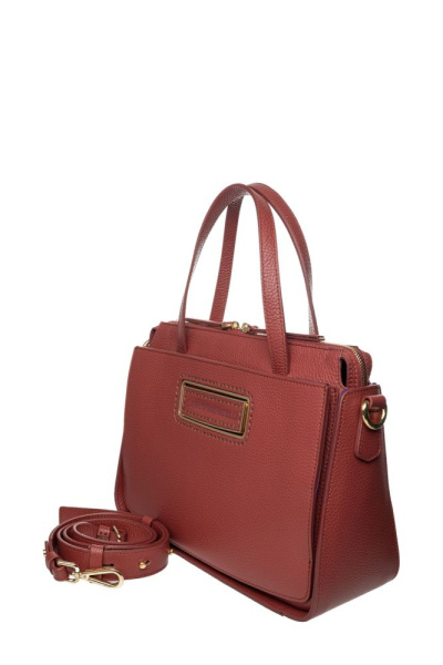 CS687coccio-4